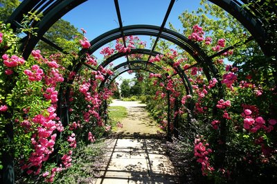 🏞️ 에코린 마을(에코린무라) 이미지 2